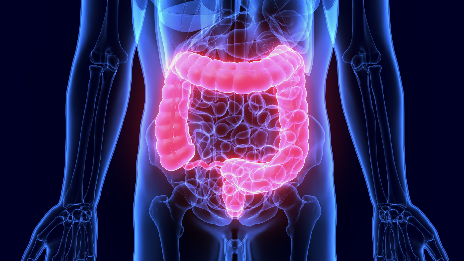 Why CrazyBulk Products Are Good For Your Gut