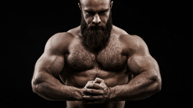 How To Build Arm Muscle Like A Pro