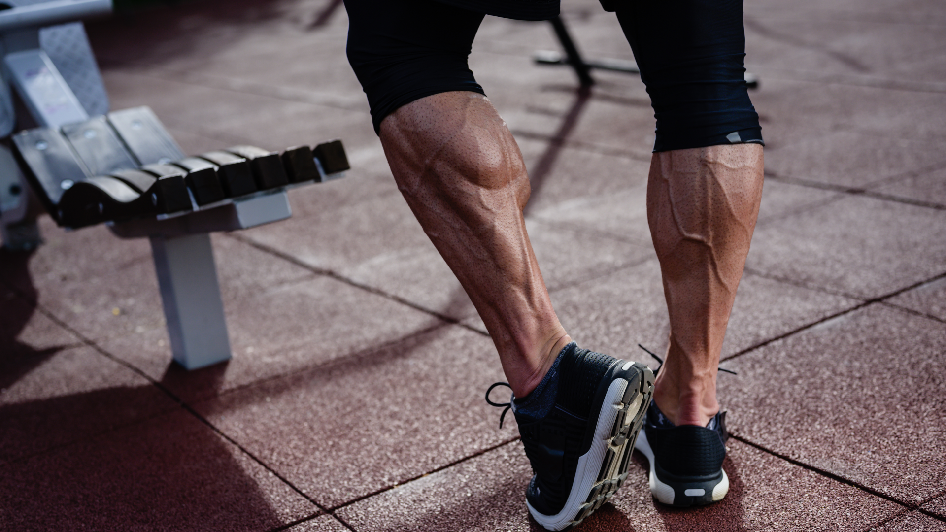 The 8 Best Calf Muscle Exercises For Your Training Routine