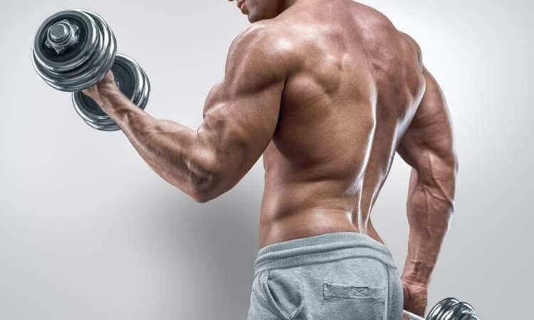 Ultimate Full-Body Dumbbell Workout